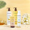 Evoluderm - Routine Hydratante 4 produits Corps 1 x lait corps 500 ml + 1 x gel douche 500 ml + 1 x gommage corps + 1 x déodorant 200 ml - Monoï à la Folie - Fabrication Française