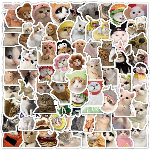 Zernblend 100 Stück Lustige Katzen Meme Sticker, Holografische, Funkelnde und Niedliche Katzenaufkleber für Wasserflaschen, Sticker, Sticker Aesthetic