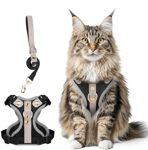 Ausbruchsicheres Katzen Geschirr & Leine Set, Verstellbares Reflektierendes Geschirr mit Atmungsaktivem Mesh und Hochwertigem Leder für Katzen & Kätzchen (Schwarz, M)