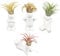 AHANDMAKER Mini Soporte de Cerámica para Plantas de Aire, Macetas de Porcelana con Forma de Muñeca de 4 Pieza, Muñeca de Cerámica de Diferentes Formas Tillandsia Airplant Contenedor Maceta