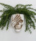 COMODID Weißer Totenkopf-Pflanztopf für Outdoor-Pflanzen, Halloween-Pflanzgefäß, Halloween-Vase, Totenkopf-Blumentopf, Gothic-Blumentöpfe, Totenkopf-Dekor, Tag der Toten Pflanzgefäße, gotische