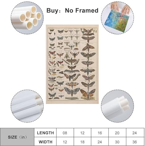 NIZIEE Vintage-Tierposter, Motten, Insekten, Rassen, Identifikation, dekoratives Gemälde, Leinwand, Poster, 30 x 45 cm