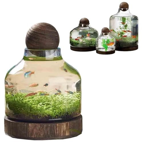 FkYstrix Glass Terrarium Container Fish Tank Planter Jars with Wood Base & Lid Plant Vase Aquarium Desktop Decor, A