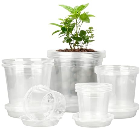 Generico Vasi Trasparenti Per Piante | 20 Pezzi con Fori di Drenaggio e Sottovasi - Vasi per la Piantagione in Vivaio | per Pomodori, Fragole, Orchidee, Piante Grasse, Cactus, Cetrioli, Peperoni