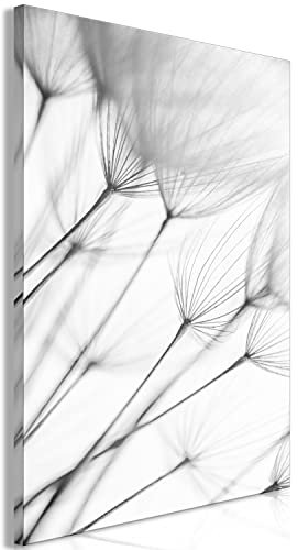 murando - Akustikbild Pusteblume Bilder Akustikschaum Hochleistungsschallabsorber Schallschutz Leinwand 1 tlg Wandbild Raumakustik Schalldämmung Blumen Natur grau n-A-0804-b-a