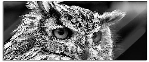 Pixxprint Glasbild Panorama, Wandbild aus Echtglas, Wunderschöne Eule, 120x50 cm, inkl. Aufhängung und Abstandshalter