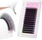 ANNAFRIS 6D W Lash Extension Premade Fan Lashes 0.07 D 8-15mm Mix Russian Volume Eyelashes Pre Made 6D W Lash Matte Black False Lashes(8-15mm, 0.07 D)