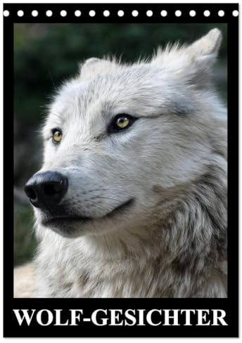 Wolf-Gesichter (Tischkalender 2026 DIN A5 hoch), CALVENDO Monatskalender: Wölfe sind zum heulen schön! (CALVENDO Tiere)