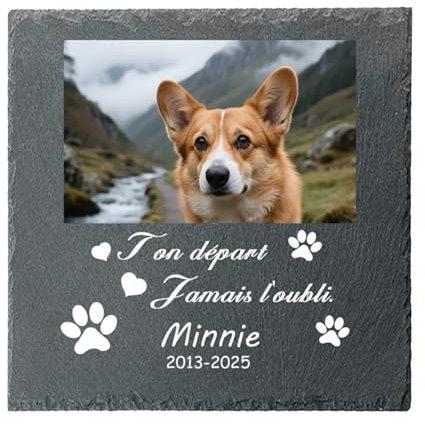 Umitive Lápida Personalizada para Mascotas - Placa Conmemorativa Cuadrada con Foto y Nombre - Regalo por la Pérdida de un Perro, Gato - Decoración para Cementerio de Mascotas (Style E)