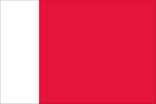 flaggenmeer® Flagge Dubai 160 g/m² ca. 150 x 250 cm