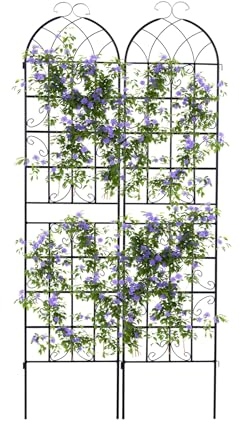 RELAX4LIFE Rankgitter 2er Set, Rankzaun Metall, Garten Spalier zum Stecken, Gartendeko Rosengitter Gartenzaun, Rankhilfe für Rosen Blumen Kletterpflanzen (220 x 50 cm,Schwarz)