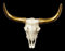 Figuren Shop GmbH Wandrelief Büffel Schädel - Goldene Hörner 44,5 cm - Trophäe Kopf Rind Longhorn Hörner Bulle