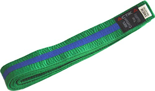 ACTIKA ctika Budogürtel zweifarbig Karate Judo Taekwondo Kampfsport Ju-Jutsu Karategürtel (grün/blau, 260)