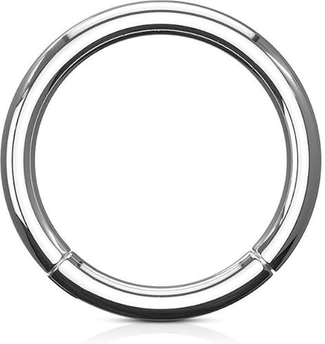Stachelkleid Titan Clicker Ring Piercing Segmentring Silber Helix, Tragus, Ohr, Nasenring, Septum 6, 8, 10mm 1,2 mm, 14 mm