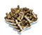 Garnelio - Löwenzahn Sticks - 25 g - Vitaminbome für Garnelen, Krebse, Schnecken/Garnelenfutter Aquarium Sticks/blätter