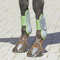 Busse everline Spring-Gamaschen JUMP, grün (grass), Hartschale: grau (fog), Pony