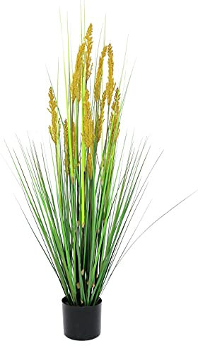 EUROPALMS Papageiengras, künstlich, 120cm | Gräserpflanze mit sonnigen Blütenstengeln