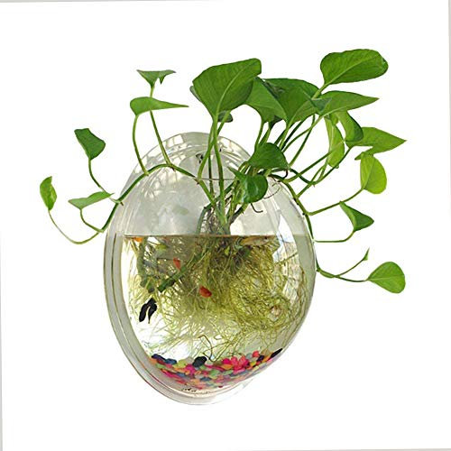 NGLUHAO Aquarium en acrylique transparent à suspendre - 3,5 l