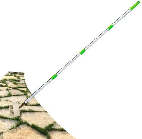 Outil de désherbage - Brosse de désherbage 2 en 1 - Facile à enlever - Outils pour enlever les vitres - Herbicide Gap - Dissolvant de mousse - Efficacité de nettoyage améliorée : double fonction