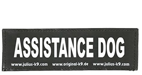Julius-K9 162LR-K-39235 Klettaufschrift, ASSISTANCE DOG, klein, schwarz