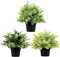 Roellgs Lot de 3 paquets de petites plantes artificielles en pot - Pour table de bureau, chambre, jardin, intérieur et extérieur - Vert clair