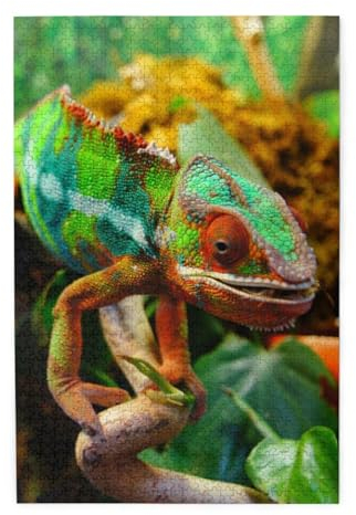 Niedliches Chamäleon-Holzpuzzle – herausforderndes Bilder-Puzzle-Spiel für Erwachsene und Puzzle-Enthusiasten – 1000-teiliges interaktives Puzzle