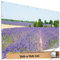 TRIOSK Sichtschutz Garten Deko Zaun Plane Blickdicht groß mit Zaunblende Motiv Lavendel Blüten Blumen Feld für Balkon Terrasse Zaunelement Doppelstabmatten Gartenzaun PVC 250x150 cm