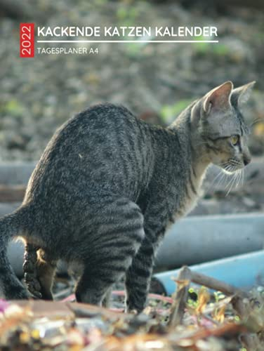 Kackende Katzen Kalender 2022: groß - Tagesplaner a4 1 tag 1 seite - tageskalender 2022 Lustige Tiere | Lustiges Geschenk für Katzenliebhaber Männer ... Mitarbeiter Geburtstag oder Weihnachten