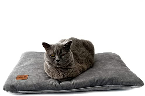 Halkalife Katzenkissen - aus dickem Polstermaterial - Kissen für einen kleinen Hund und Welpen - Katzenbett aus Samt - Flauschiges, waschbares Katzenkissen (XS, Grau)