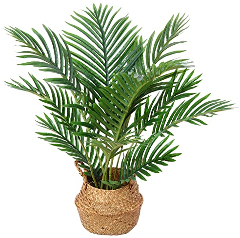 Kazeila Kunstpflanzen Groß 60cm Künstliche Palme Pflanzen Fake Pflanzen Plastik Kunstpalme Pflanze Deko für Home Wohnzimmer Schlafzimmer(1PACK)