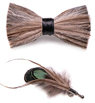 JEMYGINS Noeud Papillon Homme Rayures noires/marron en Plume en Plume Fait Main et Broche Ensemble Compris boîte