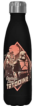 Star Wars Greeting from Tatooine 17 oz Stainless Steel Water Bottle, 17 Ounce, Multicolored