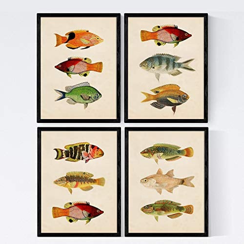 Nacnic Set 4 Blatt Fisch Jahrgang bunten Effekt. Andaman. Zusammensetzung von 12 verschiedenen Fischen im A4-Format, Jahrgang Hintergrund Altpapier Poster Papier 250 gr hohe Qualität. Marco