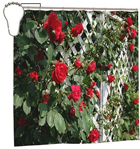 SATOHA Red Rose Flower and Green Leaf Shower Curtain Set With 12 Hooks - Bath Fence Garden Outdoor Scenic Fabric for Bathroom