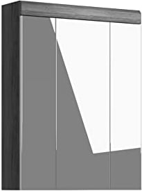 xonox.home Badezimmer Scout X06B2725 Spiegelschrank in Front weiß Hochglanz Korpus rauchsilber Nb.ca.60x79x18 cm