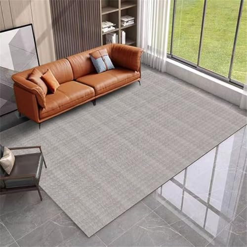 ROSURUG Outdoor Teppich XXL Deko Kissen 200X300CM Einfache kein Bild Design Wohnzimmer Teppich rutschfest kann leicht angepasst Werden Pflege Fußmatte Innen Geschenke Für Teenager Mädchen Grau