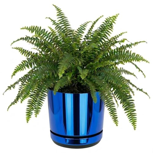 SPARKLE PLANTS Large Indoor Plant Pot, Blue Mirror Effect, Plastic, with Drainage Holes and Matching Saucer, Round, 7 Sizes (26 cm - 10.2 inch)