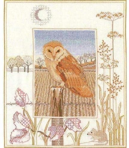 Bothy Threads Cross Stitch Kit - Wildlife - Barn Owl