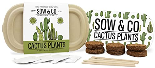 Gift Republic - Sow & Co - Kaktus