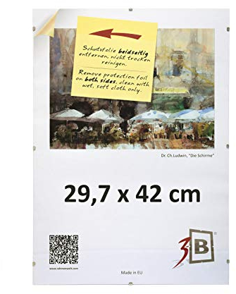 3-B Bilderrahmen - rahmenloser Bildhalter mit Acrylglas - Cliprahmen 29,7x42 cm (A3) - 3-Pack