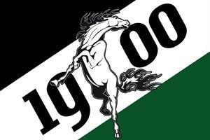 FRIP - Versand Borussia Mönchengladbach Lupo 1,50x0,90m Grüne-Weiße Fahne für Sportveranstaltungen