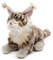 Uni-Toys - Maine-Coon-Katze, sitzend (grau) - 27 cm (Höhe) - Plüsch-Katze - Plüschtier, Kuscheltier