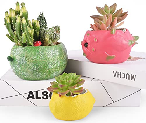 Vasi per piante succulente per piante da interno a forma di frutta con fori di drenaggio Regali di compleanno per donne Vasi per piante succulente per casa ufficio giardino decorativi