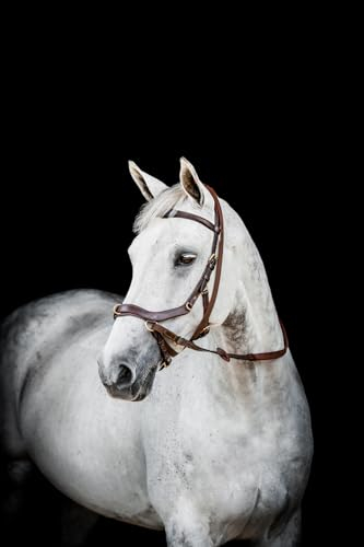 Horseware HW Micklem2 Multi Bridle, x-vollblut, Dark Havanna