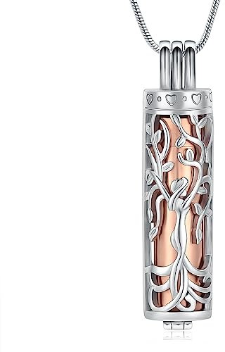 VCCWYQK Cremation Jewelry Urn Necklace for Ashes Pendant with Hollow Glass Vial Cylinder Cremation Keepsake Memorial Lockets Ashes Holder for Women Men Pet (H-5)