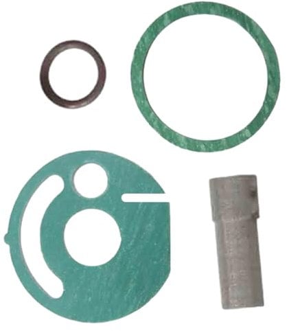 Riloer Diesel-Standheizungs-Servicesatz, Standheizungs-Reparaturdichtungssatz Kompatibel mit D5WZ / Eberspacher D5 SC Hydronic 12 V