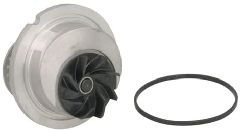 INA 538 0296 10 Kühlung | Kompatibel mit: OPEL ASTRA G Cabriolet, ASTRA G Caravan, ASTRA G CC, ASTRA G Coupe, ASTRA G Stufenheck