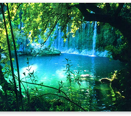 murando - Vlies Fototapete Natur 450x315cm- Foto Tapete Schlafzimmer Wohnzimmer Vliestapete XXL Wandtapete Motivtapeten Bildtapete 3d Effekt Wand Dekoration - Landschaft Wasserfall c-B-0132-a-a