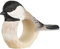Wildlife Garden WG4571 Serviettenring Sumpfmeise - Handgeschnitzter Serviettenring aus Holz für die Tischdekoration