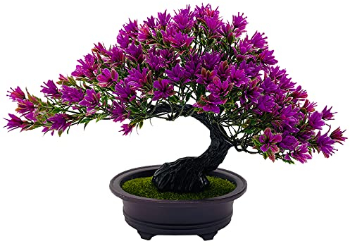 Fycooler Bonsai Artificiale Piante Finte da Interno per la Decorazione di Casa e Ufficio,Albero,Pianta Artificiale Decorativa Iperrealistica con vaso Decorazioni per Tavolo Scrivania Soggiorno Mensole